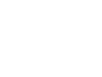 Information Technology Portal